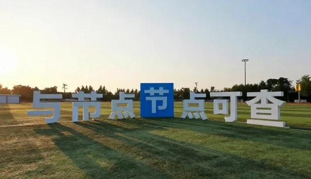 本地化适配对技术转让项目性能的直接影响分析